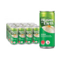 Heaven and Earth Jasmine Tea Flavoured Tea Drink 12x300ml