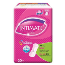 Intimate Day Use Slim Wing 20s P03
